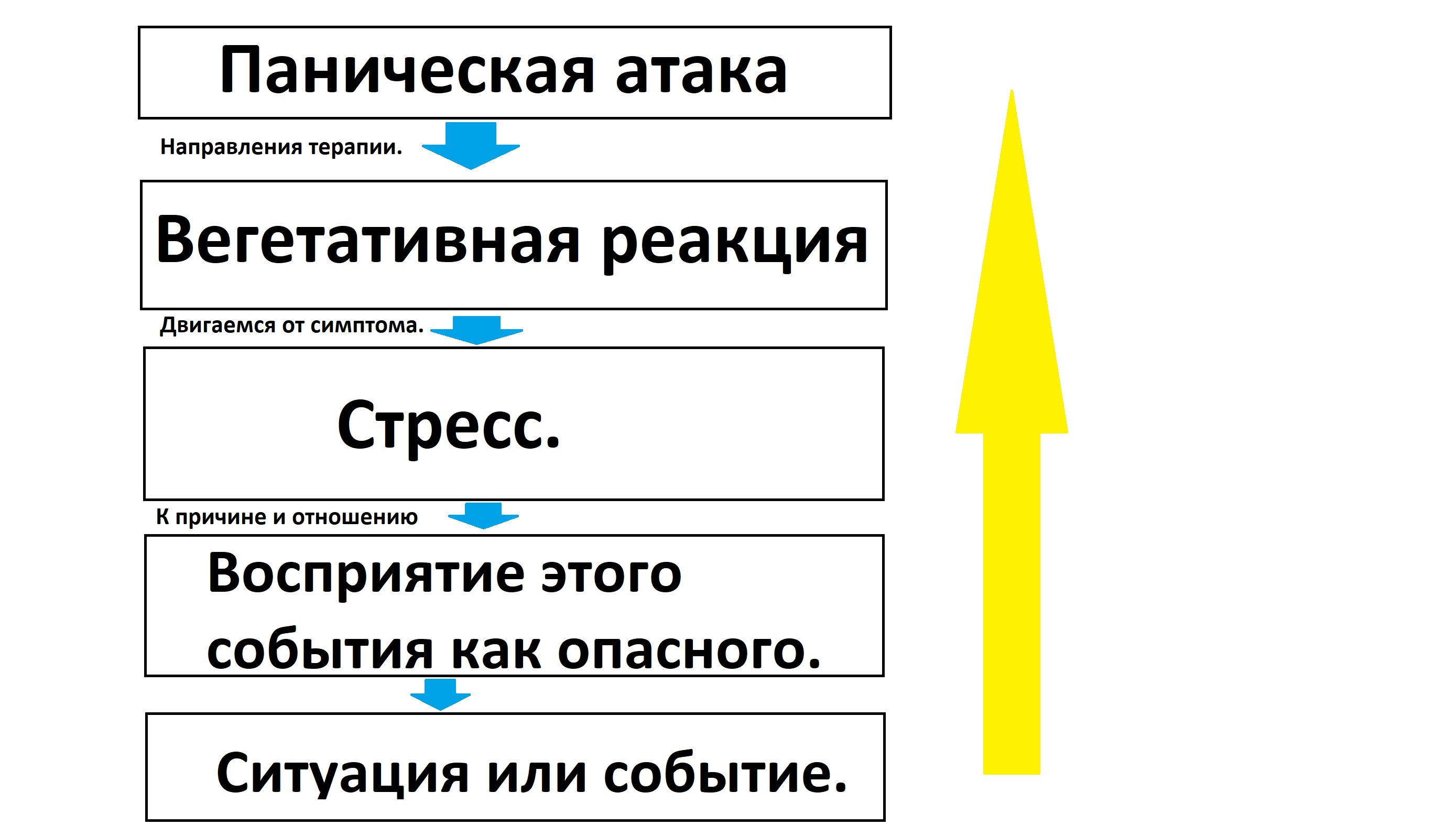 Поведенческая терапия панических атак. Классификация и стадии развития панических атак.